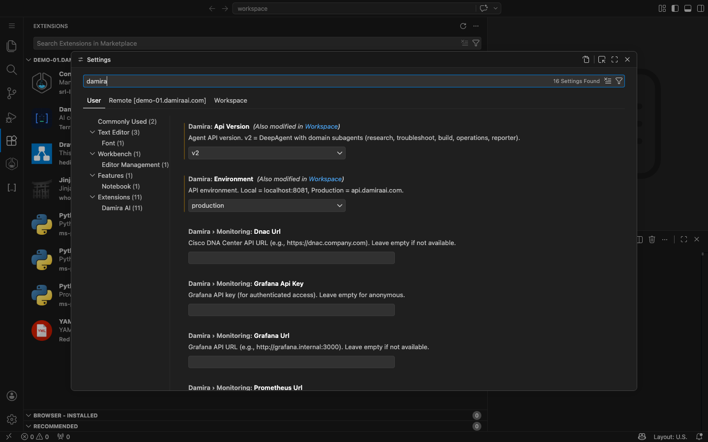 VS Code settings filtered to Damira configuration